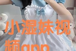 湿妹在线观看,揭秘网络直播的火热魅力