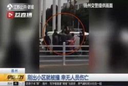 江苏女子爆料新闻视频大全,揭秘社会热点事件背后的真相