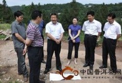 罗村爆料新闻最新情况,事件进展及影响深度解析