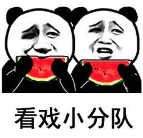 娱乐圈吃瓜表情变化